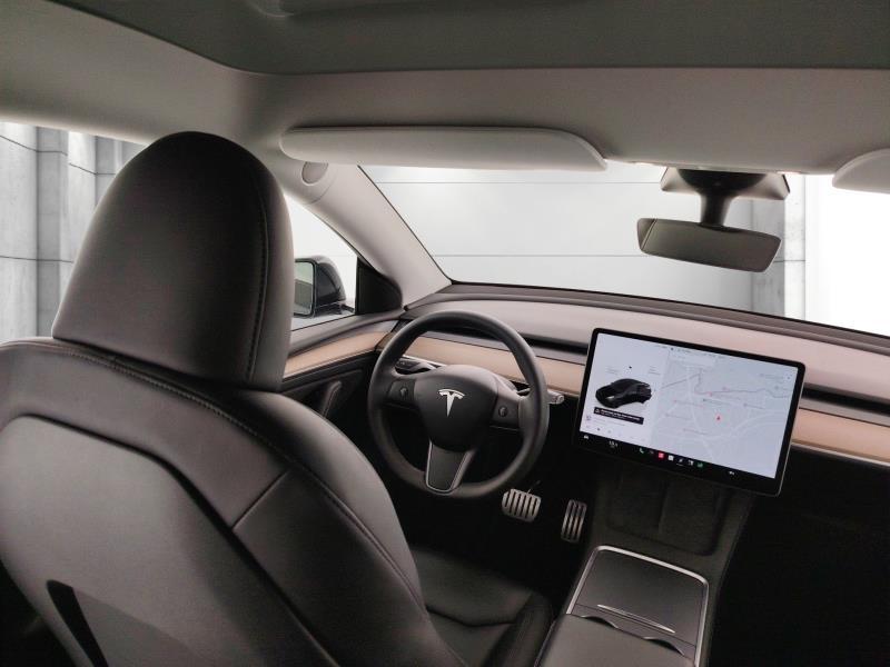 TESLA Model y performance dual motor awd