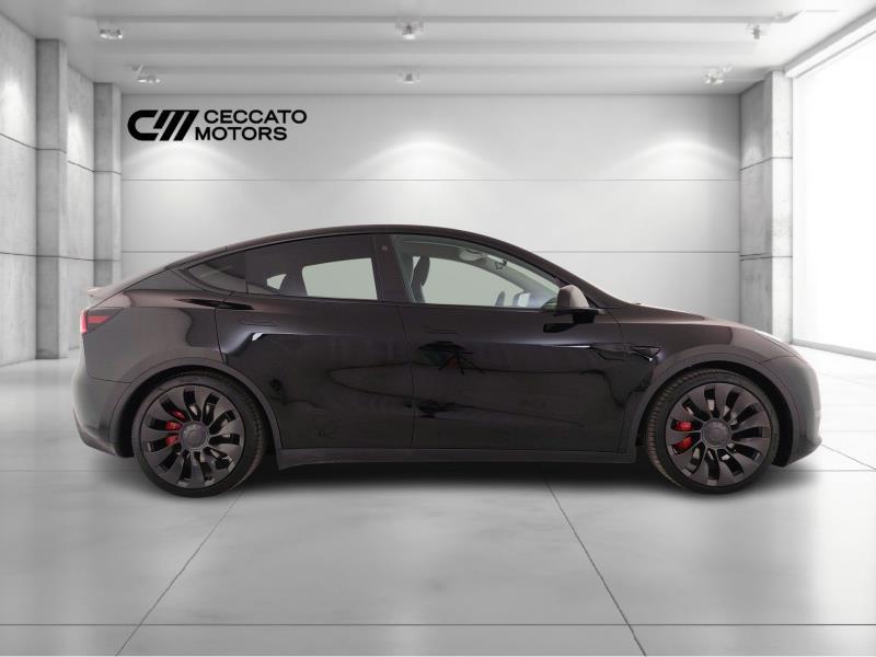 TESLA Model y performance dual motor awd