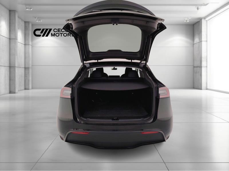 TESLA Model y performance dual motor awd