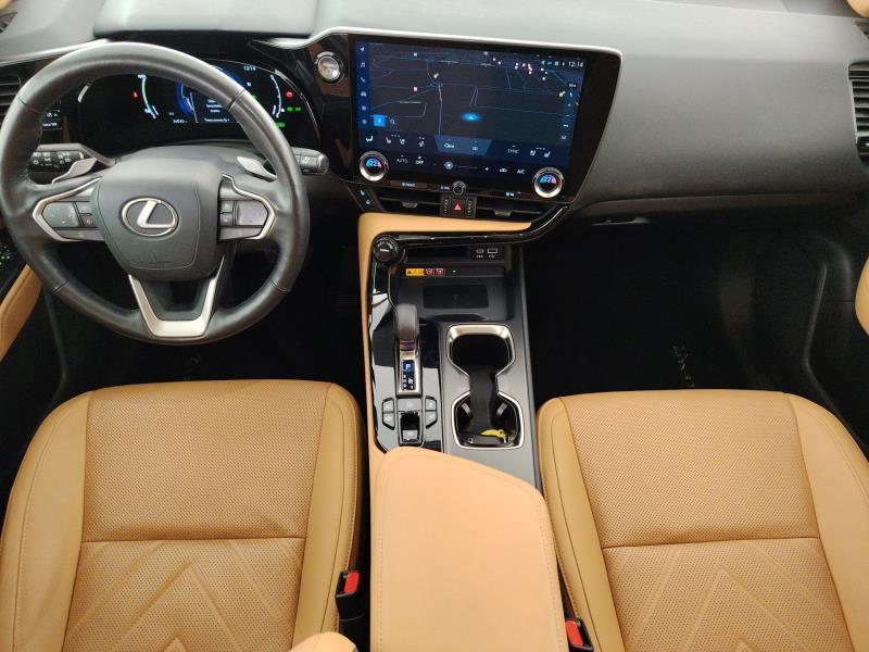 LEXUS Nx 450h+ 2.5 phev luxury 4wd 309cv e-cvt