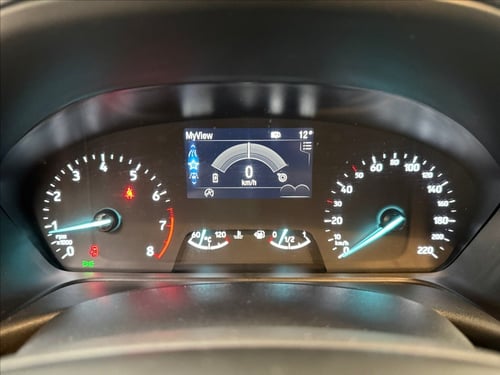 FORD Fiesta active 1.0 ecoboost h 125cv